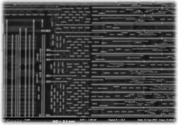 12 nm 模拟电路去层:先进铜制程模拟电路层的 SEM 图像。